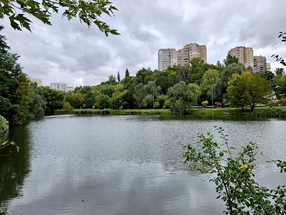 Квартира на вул. Петра Радченка, 27 в Київ, ID 360783, фото №2