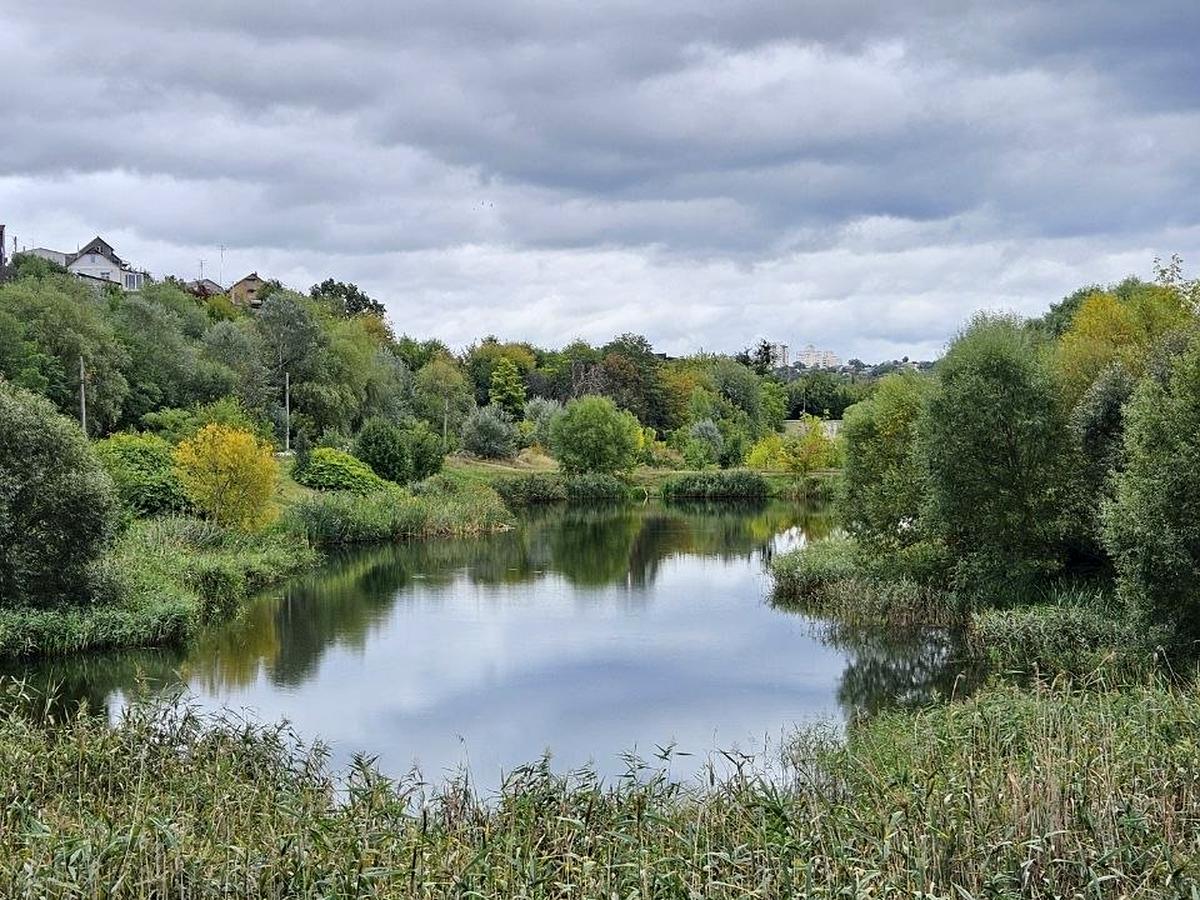 Квартира на вул. Петра Радченка, 27 в Київ, ID 360783, фото №5