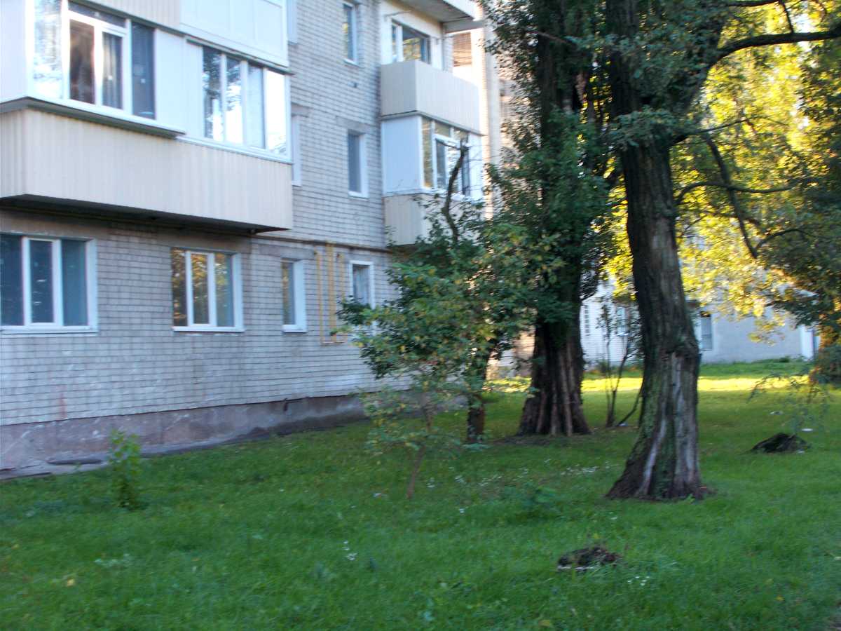 Квартира на вул. Івана Мазепи, 56 в Чернігові, ID 388698, фото №18