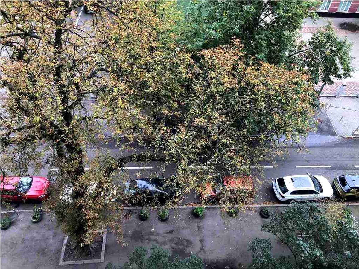 Квартира на вул. Панаса Мирного, 11 в Києві, ID 391954, фото №14