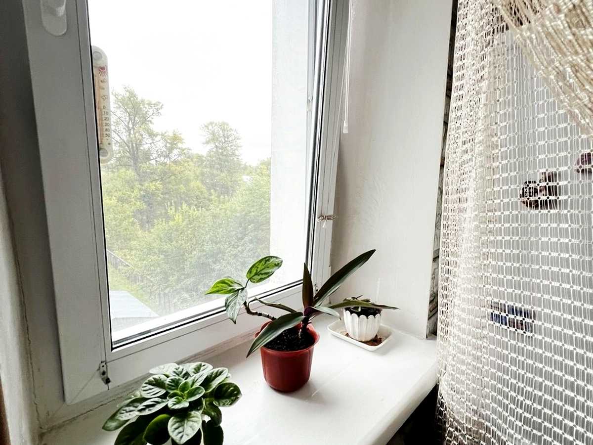 Квартира на вул. 2-й Кілометр, 6 в Чернігові, ID 388704, фото №8