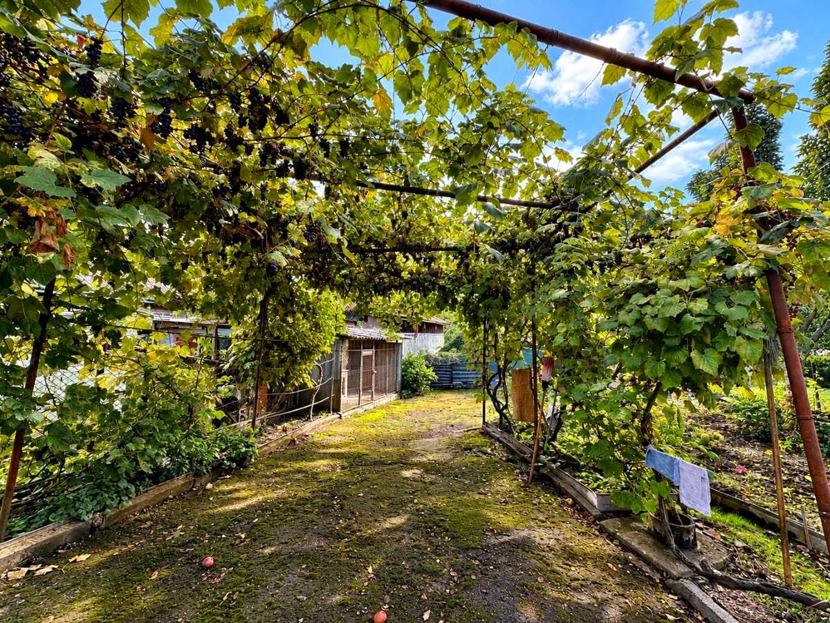 Квартира на вул. Жупна, 33 в Львові, ID 389005, фото №14