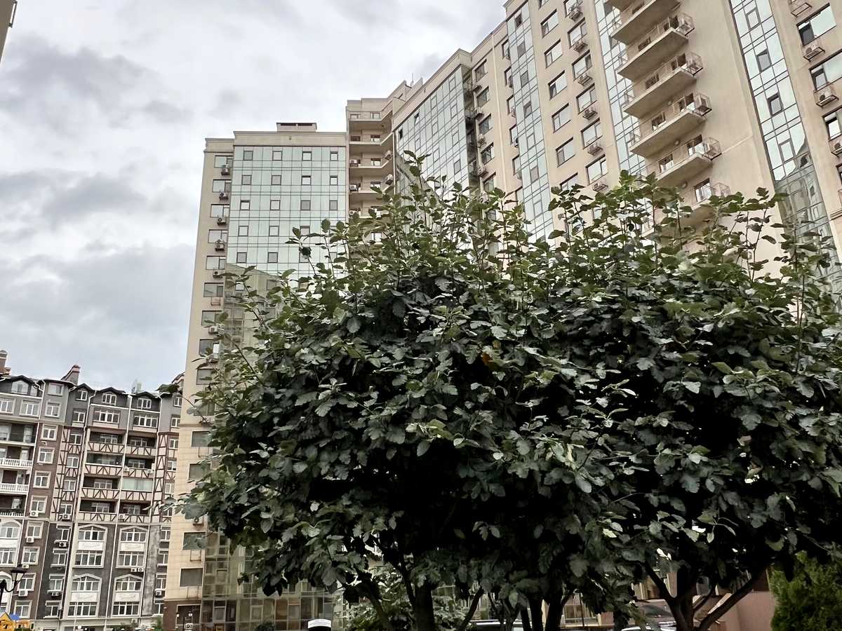 Квартира на вул. Марсельська, 35а в Одесі, ID 364131, фото №20