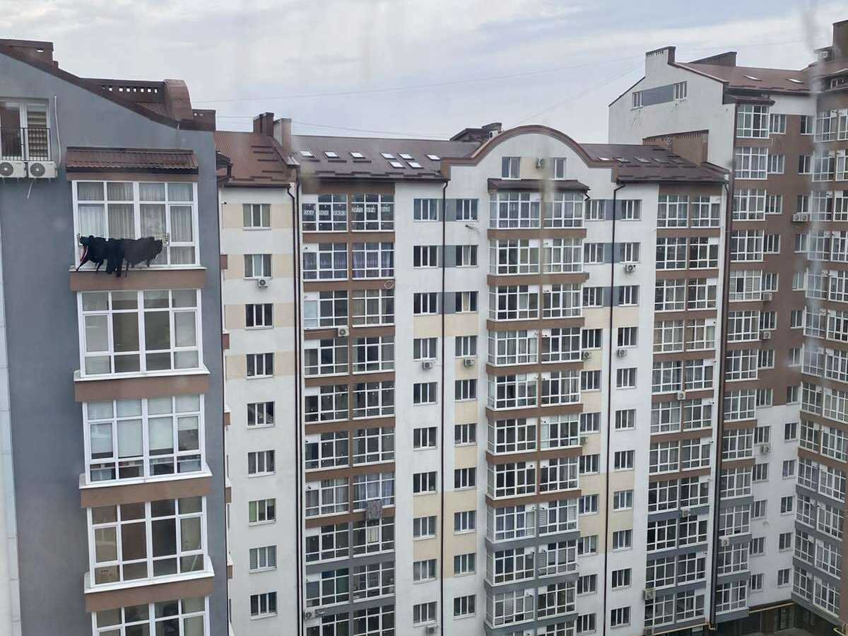Квартира на вул. Височана, 18 к40 в Івано-Франківську, ID 392065, фото №22