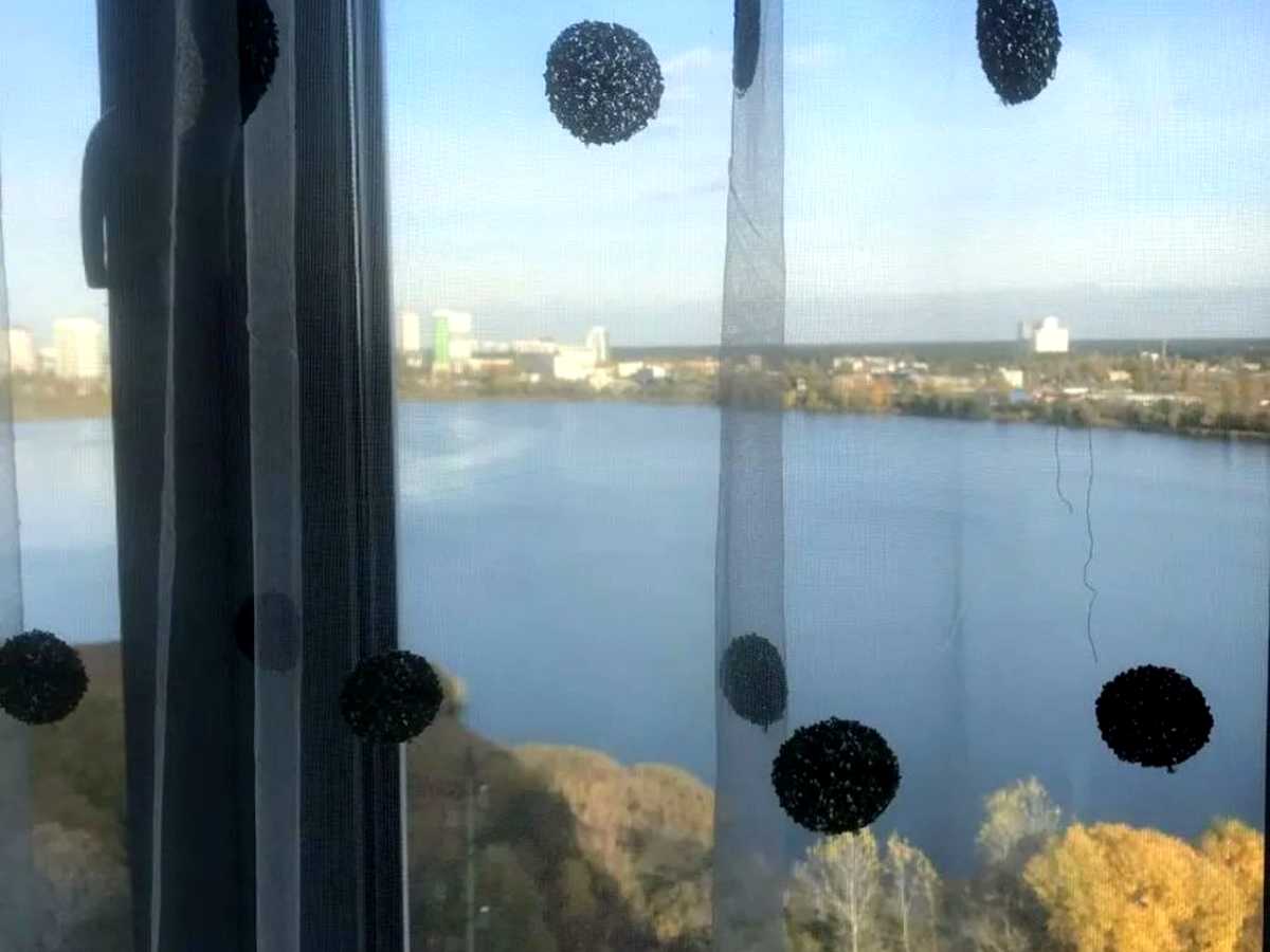 Квартира на вул. Ревуцького, 54 в Києві, ID 389774, фото №2