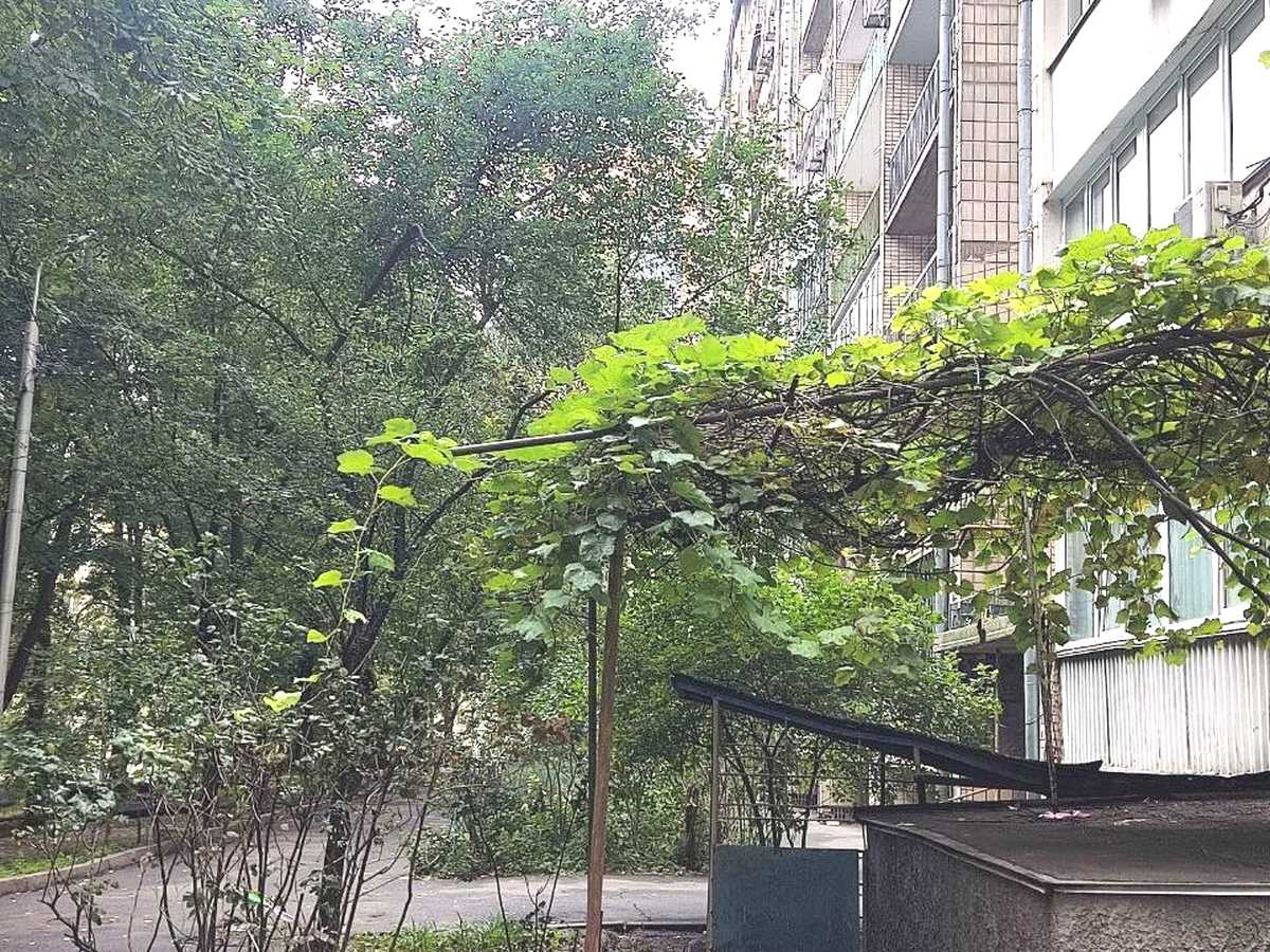 Квартира на вул. Василя Тютюнника, 22-26 в Києві, ID 396440, фото №11