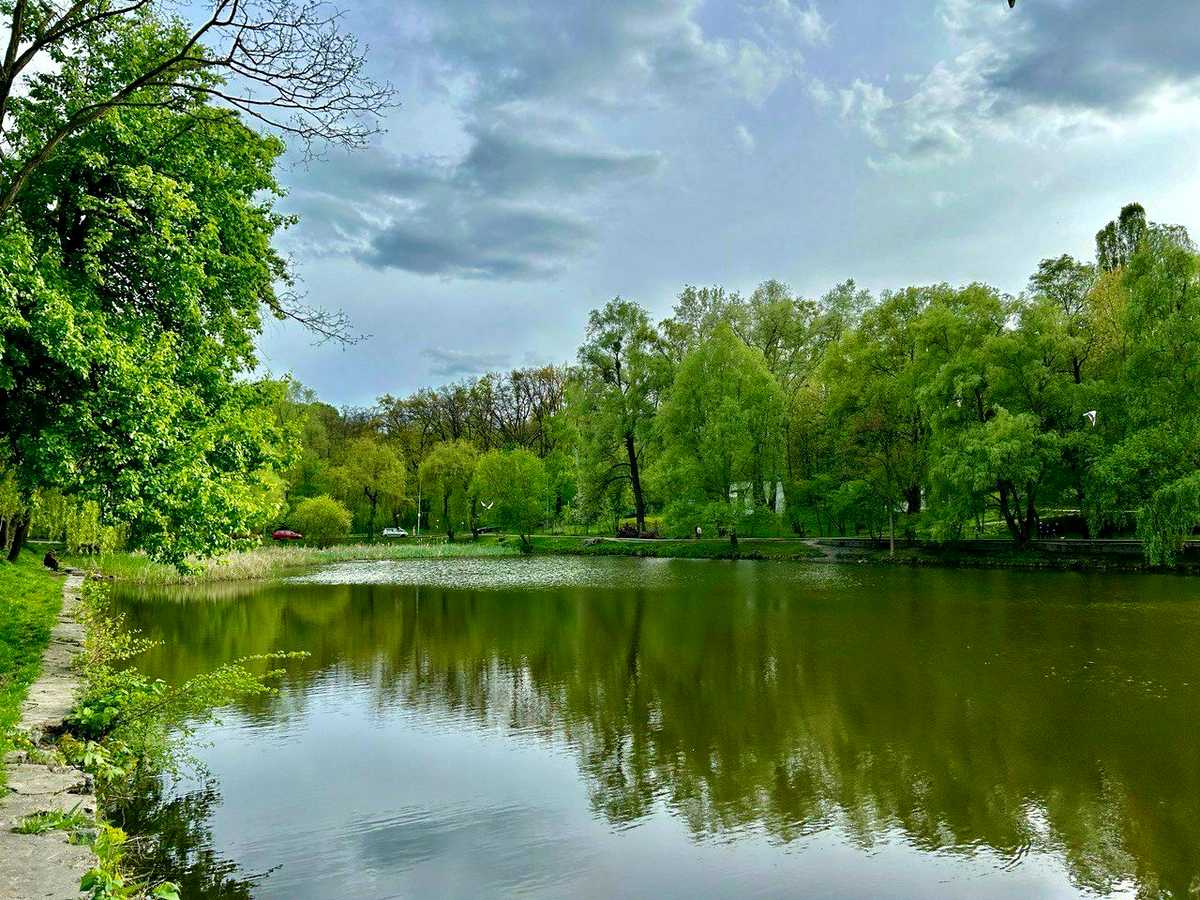 Квартира на вул. Васильківська, 76 в Києві, ID 389516, фото №16