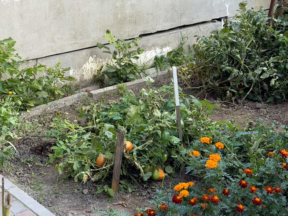 Квартира на вул. Саперів, 17 в Луцьку, ID 387898, фото №17