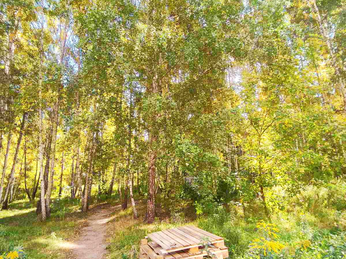 Квартира на вул. Відродження, 7 в Києві, ID 381463, фото №12