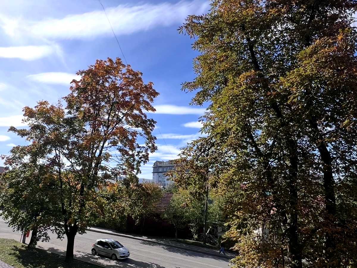 Квартира на вул. Володимира Івасюка, 9 в Львові, ID 401466, фото №13