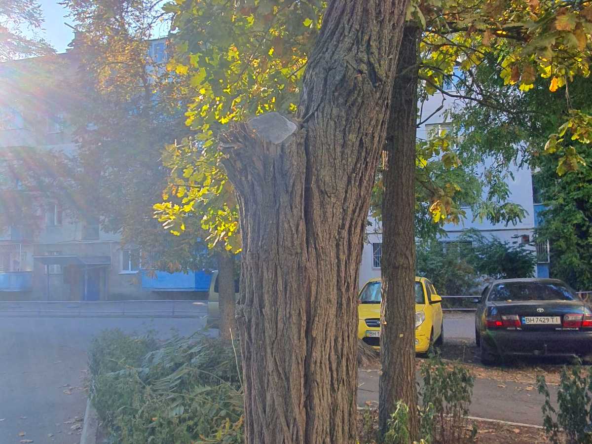 Квартира на вул. Жоліо Кюрі, 22 в Одесі, ID 389284, фото №25