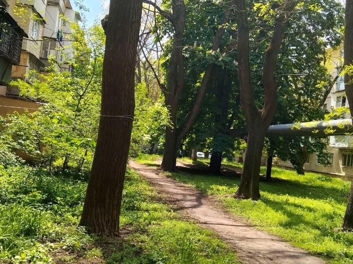 Квартира на вул. Космонавтів, 27/3 в Одесі, ID 388088, фото №11
