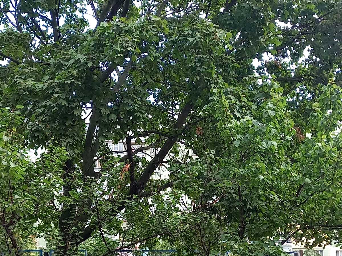 Квартира на вул. Припортова, 22 в Черкасах, ID 389119, фото №35