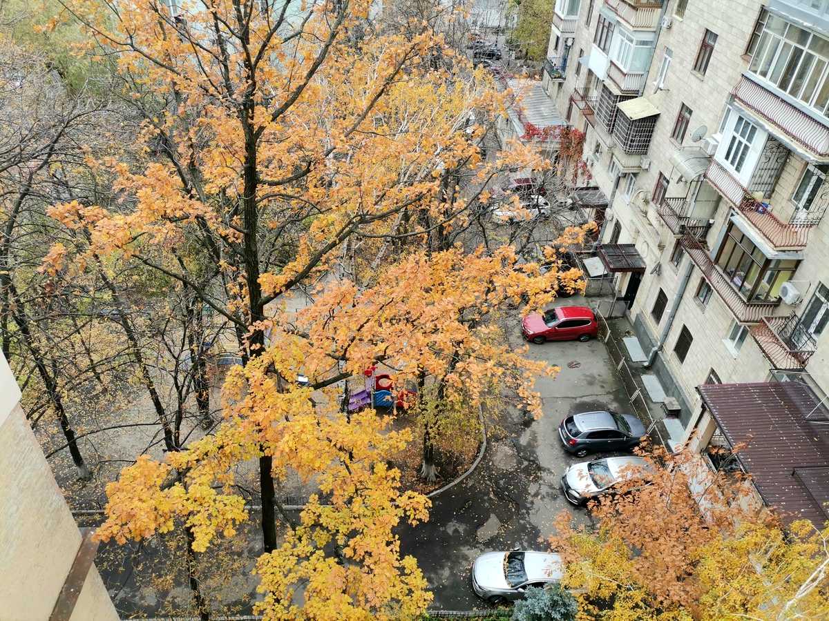 Квартира на вул. Заньковецької, 6 в Києві, ID 388140, фото №16