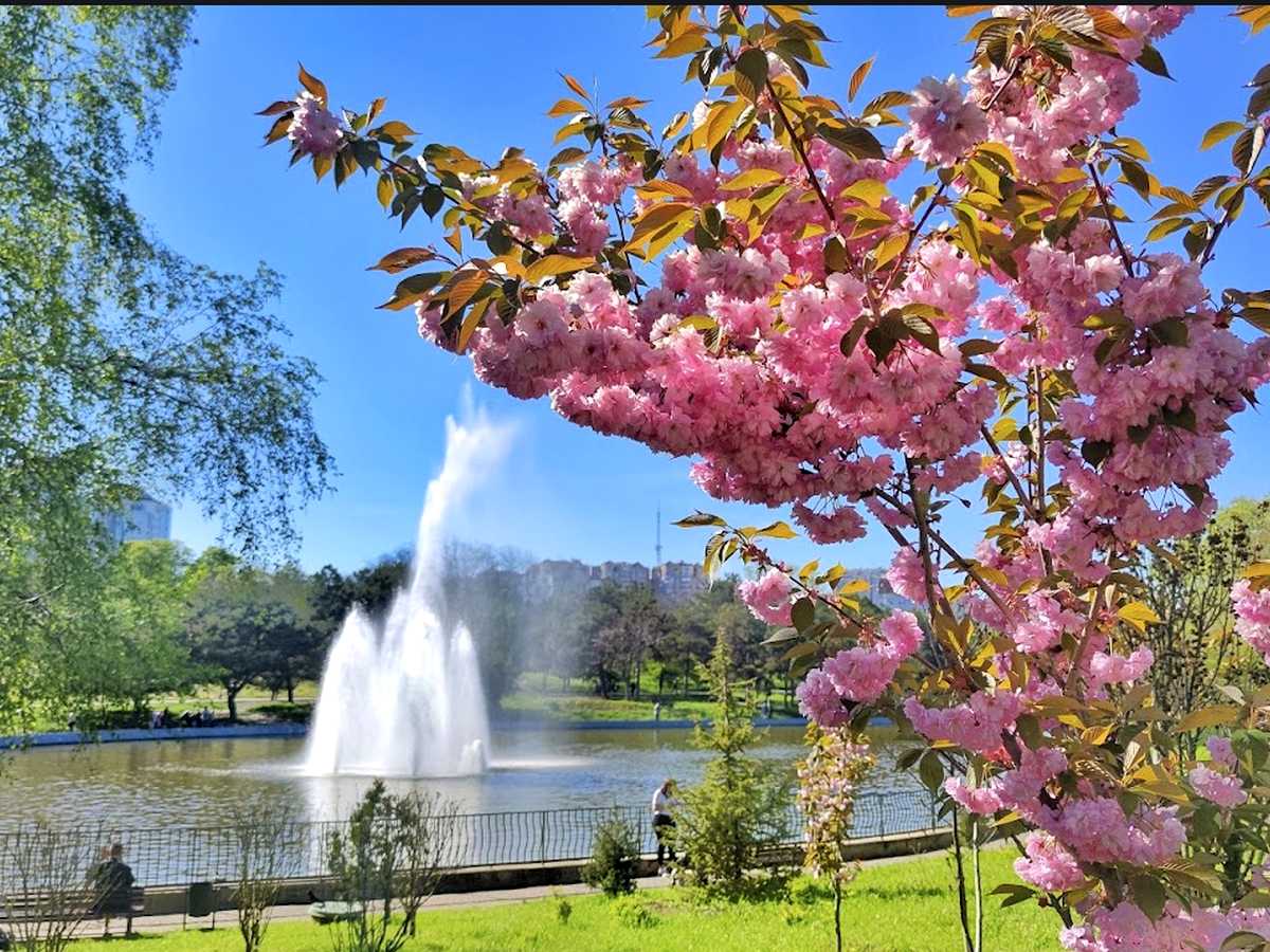 Квартира на вул. Незалежності, 8г в Одесі, ID 408090, фото №25