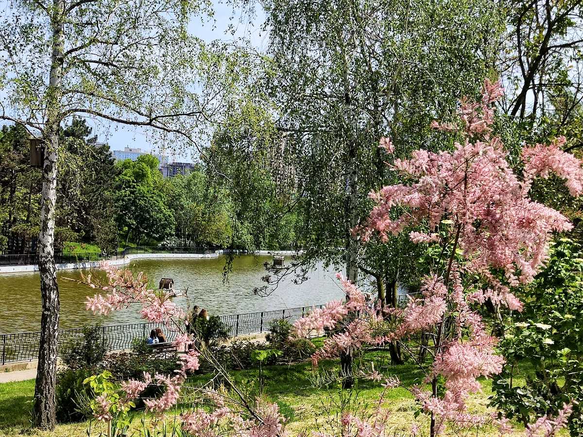 Квартира на вул. Незалежності, 8г в Одесі, ID 408090, фото №26