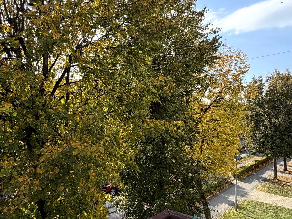 Квартира на просп. Волі, 49 в Луцьку, ID 395915, фото №11