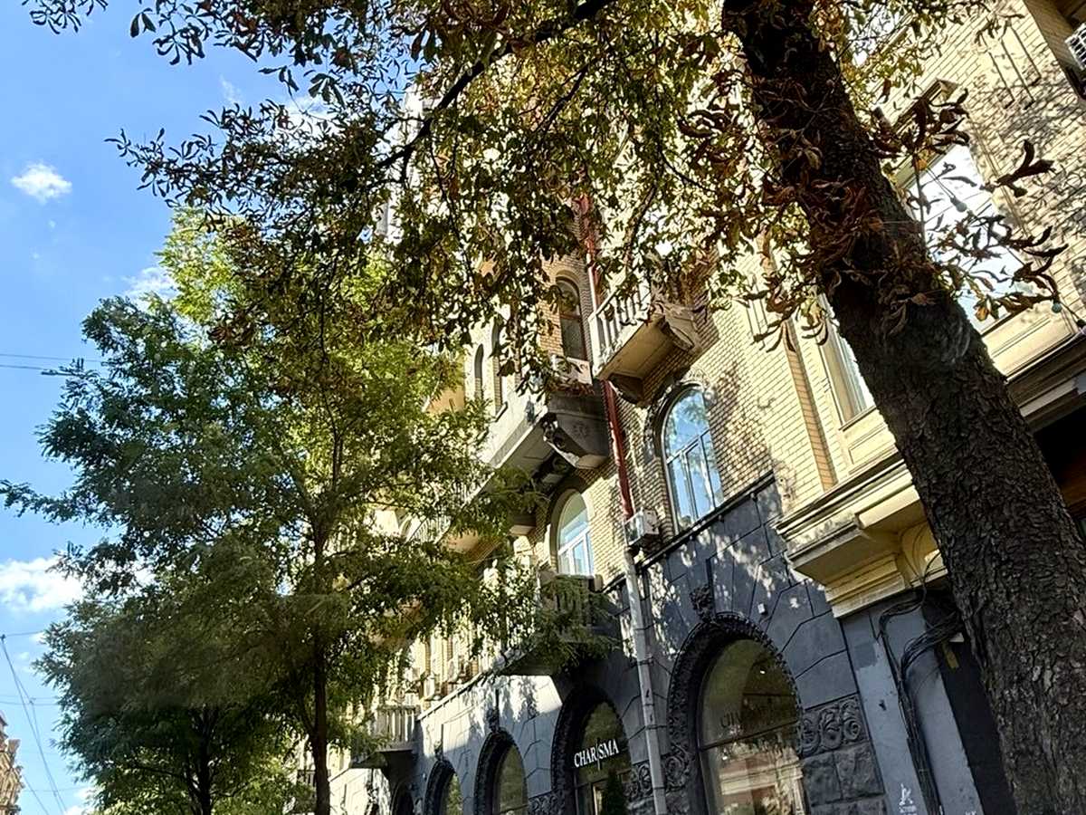 Квартира на вул. Велика Житомирська, 8А в Києві, ID 398762, фото №18