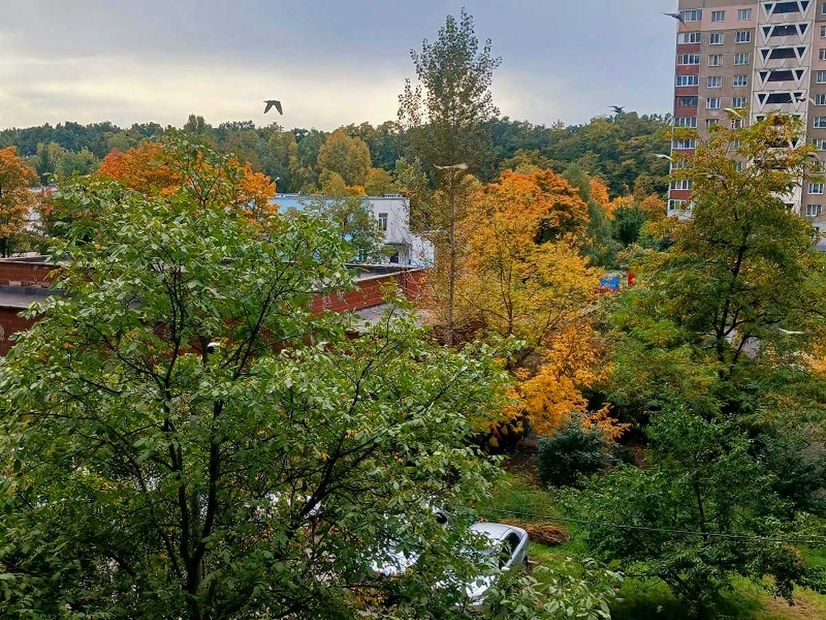 Квартира на вул. Академіка Заболотного, 76 в Києві, ID 402524, фото №10