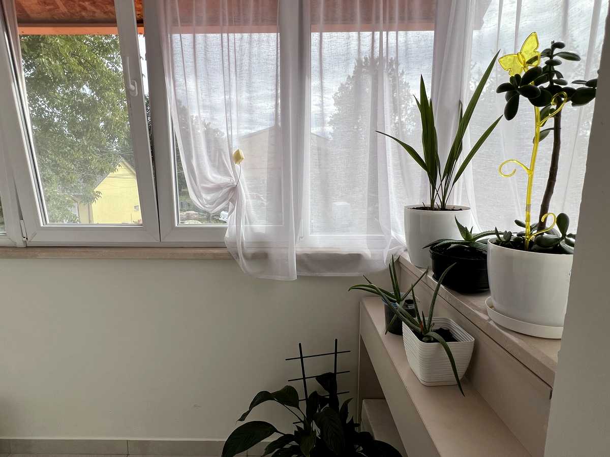 Квартира на вул. Лесі Українки, 56 в Львові, ID 404746, фото №15