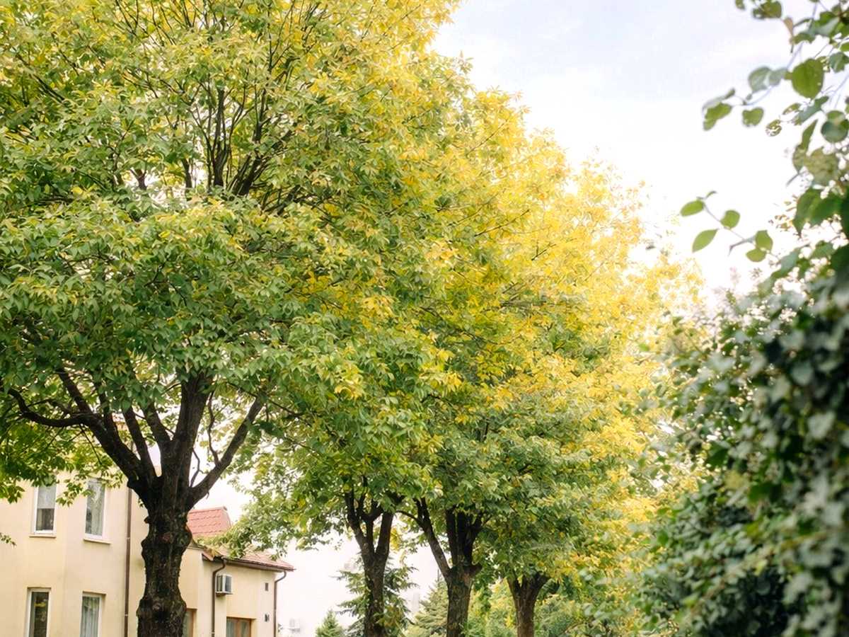 Квартира на вул. Остапа Луцького, 9А в Львові, ID 407727, фото №18