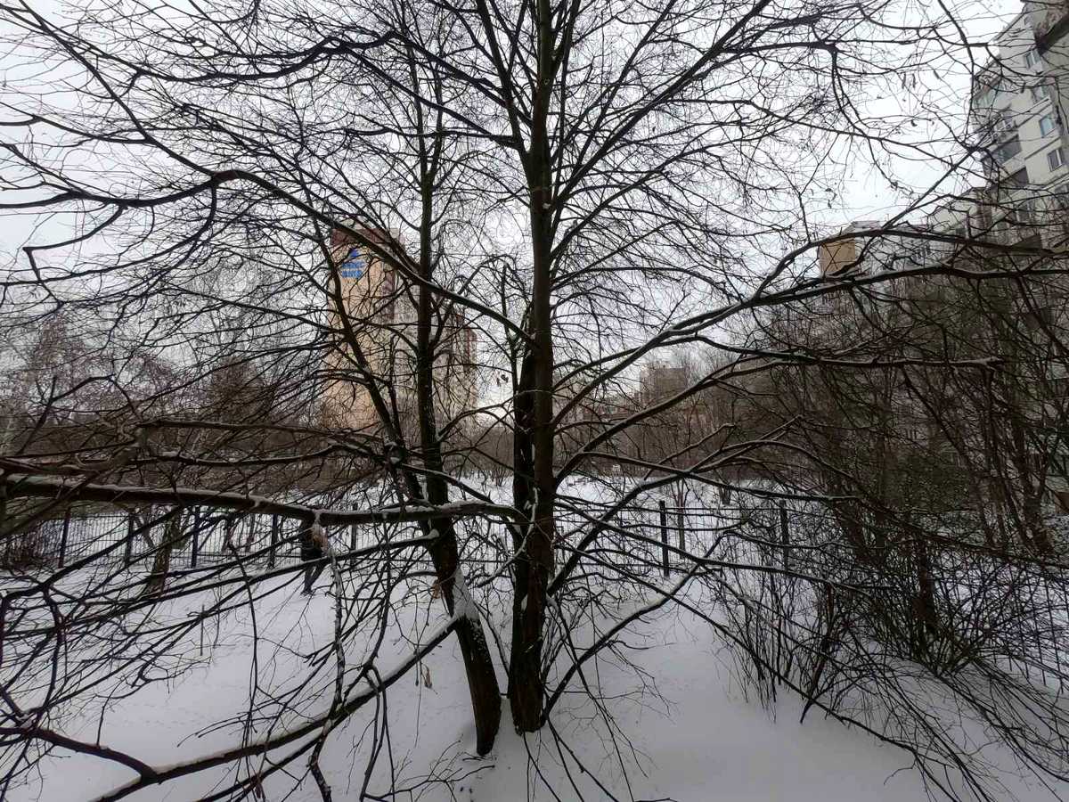 Квартира на вул. Вадима Гетьмана 46-А/5 в Києві, ID 409478, фото №10