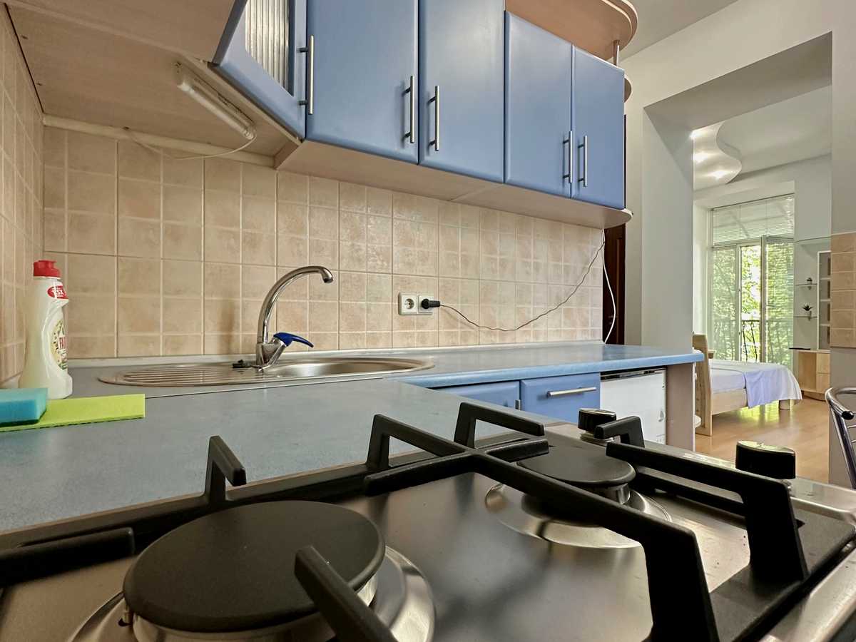 Квартира на вул. Заньковецької, 6 в Києві, ID 411597, фото №9