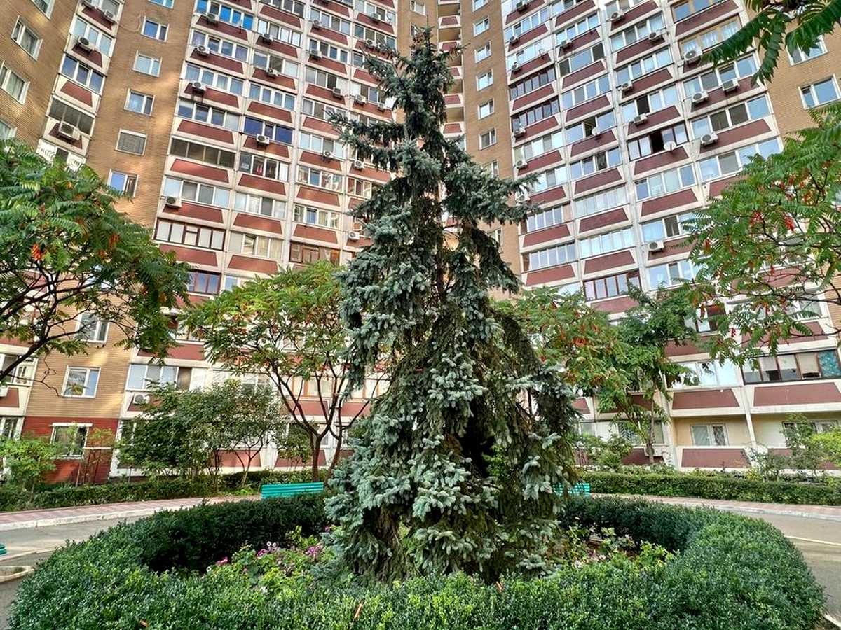 Квартира на просп. Миколи Бажана, 36 в Києві, ID 414858, фото №13