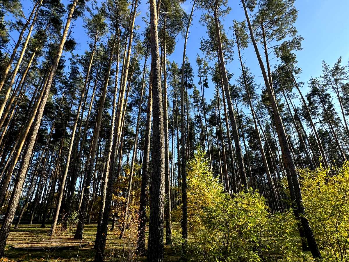 Квартира на вул. Соборна в Києві, ID 427666, фото №9