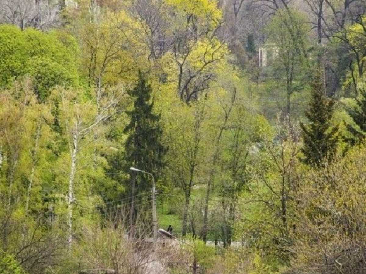 Квартира на вул. Гетьмана Павла Скоропадського, 39 в Києві, ID 461547, фото №7