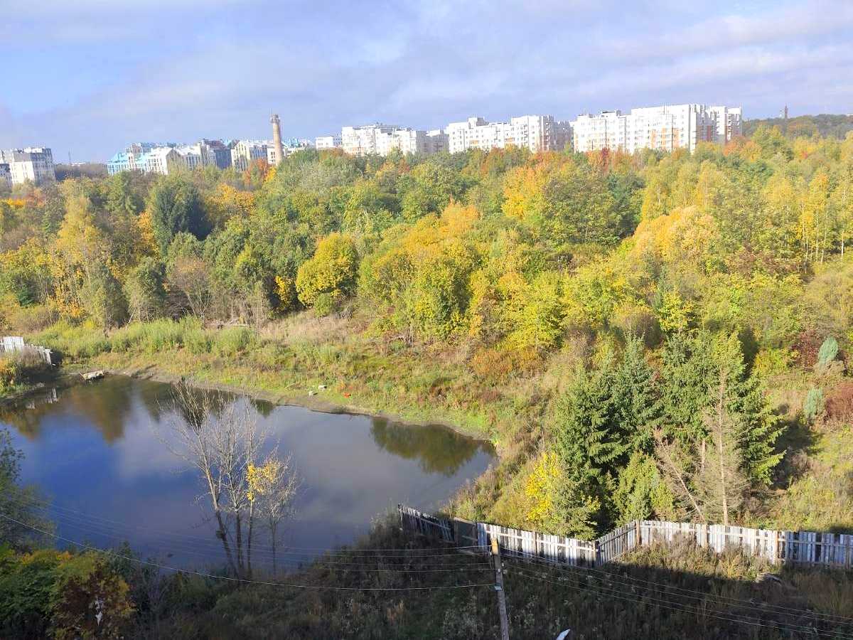 Квартира на вул. Карла Мікльоша в Львові, ID 463215, фото №7