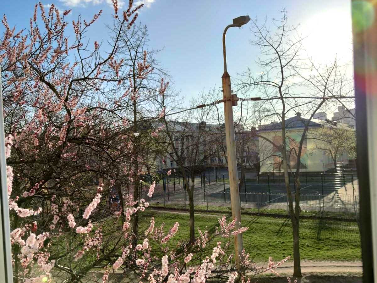Квартира на вул. Йорданська, 24Б в Києві, ID 474884, фото №13