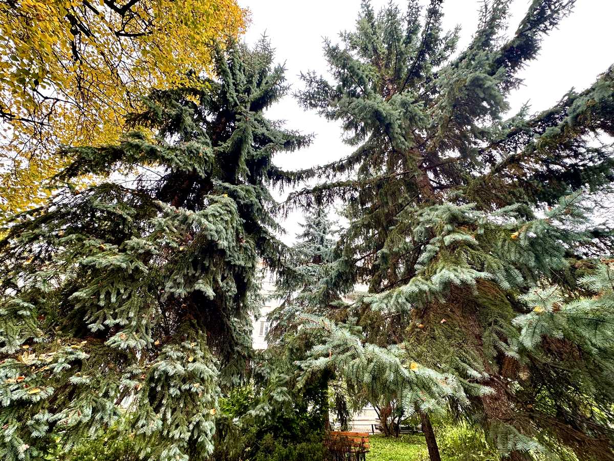 Квартира на вул. Івана Мазепи, 26А в Києві, ID 475682, фото №17