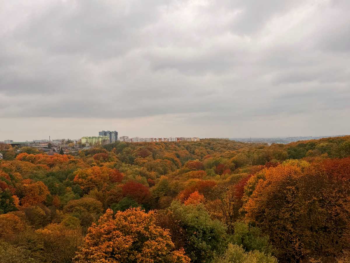 Квартира на вул. Пасічна в Львові, ID 475761, фото №2