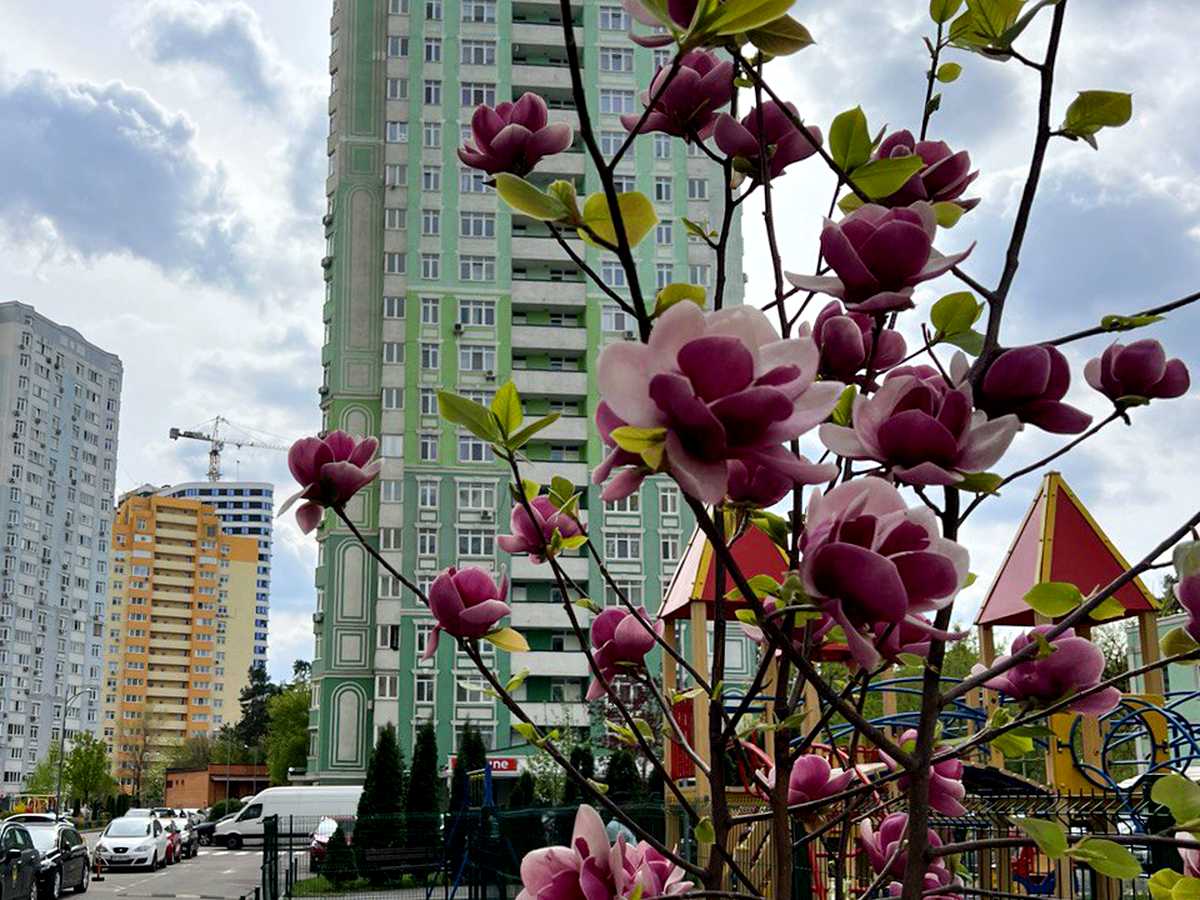 Квартира на вул. Воскресенська, 12А в Києві, ID 476169, фото №20