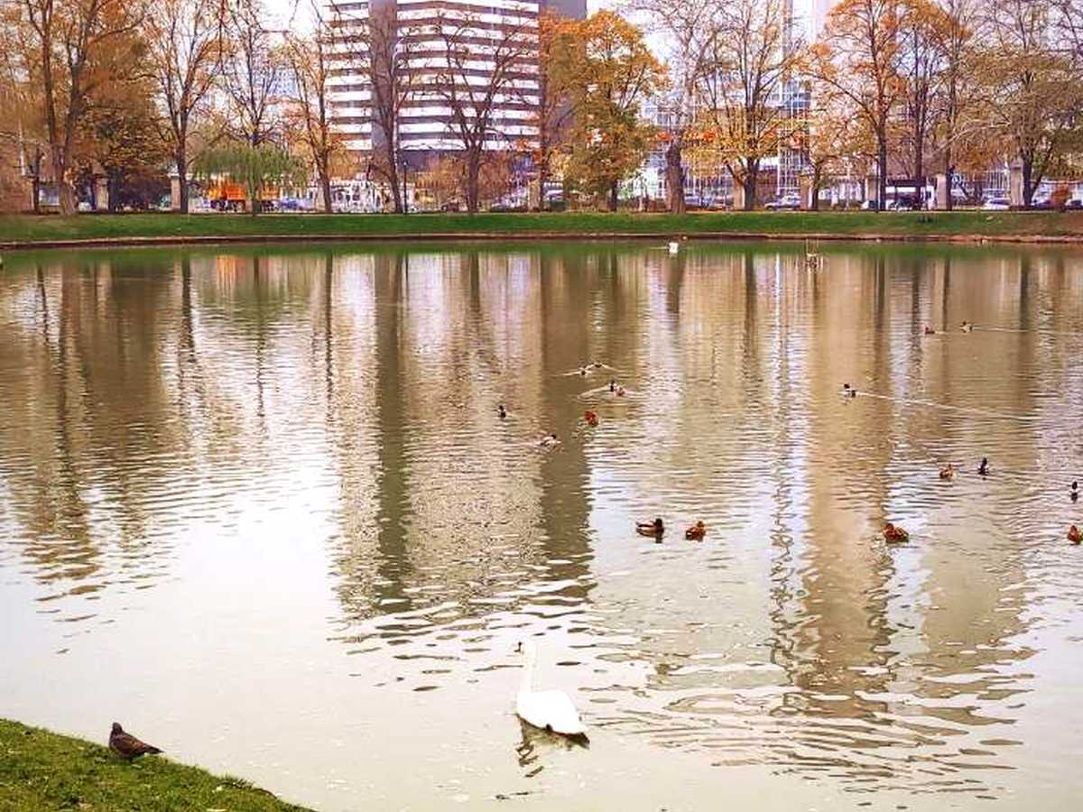 Квартира на вул. Юлії Здановської, 71З в Києві, ID 477073, фото №14