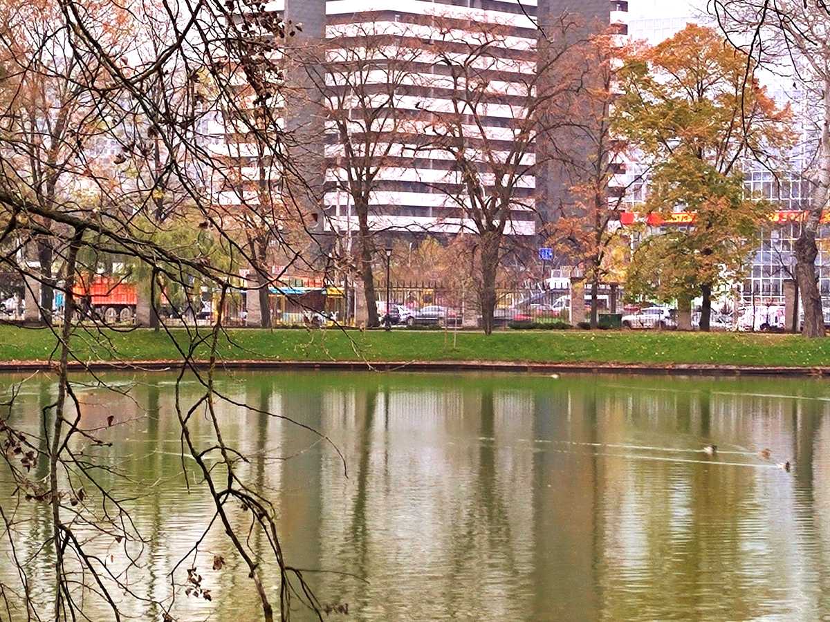 Квартира на вул. Юлії Здановської, 71З в Києві, ID 477073, фото №15