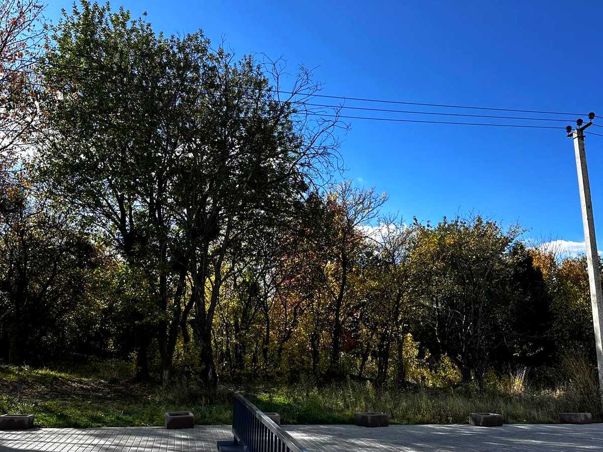 Квартира на вул. Щирецька, 23 в Львові, ID 477424, фото №10