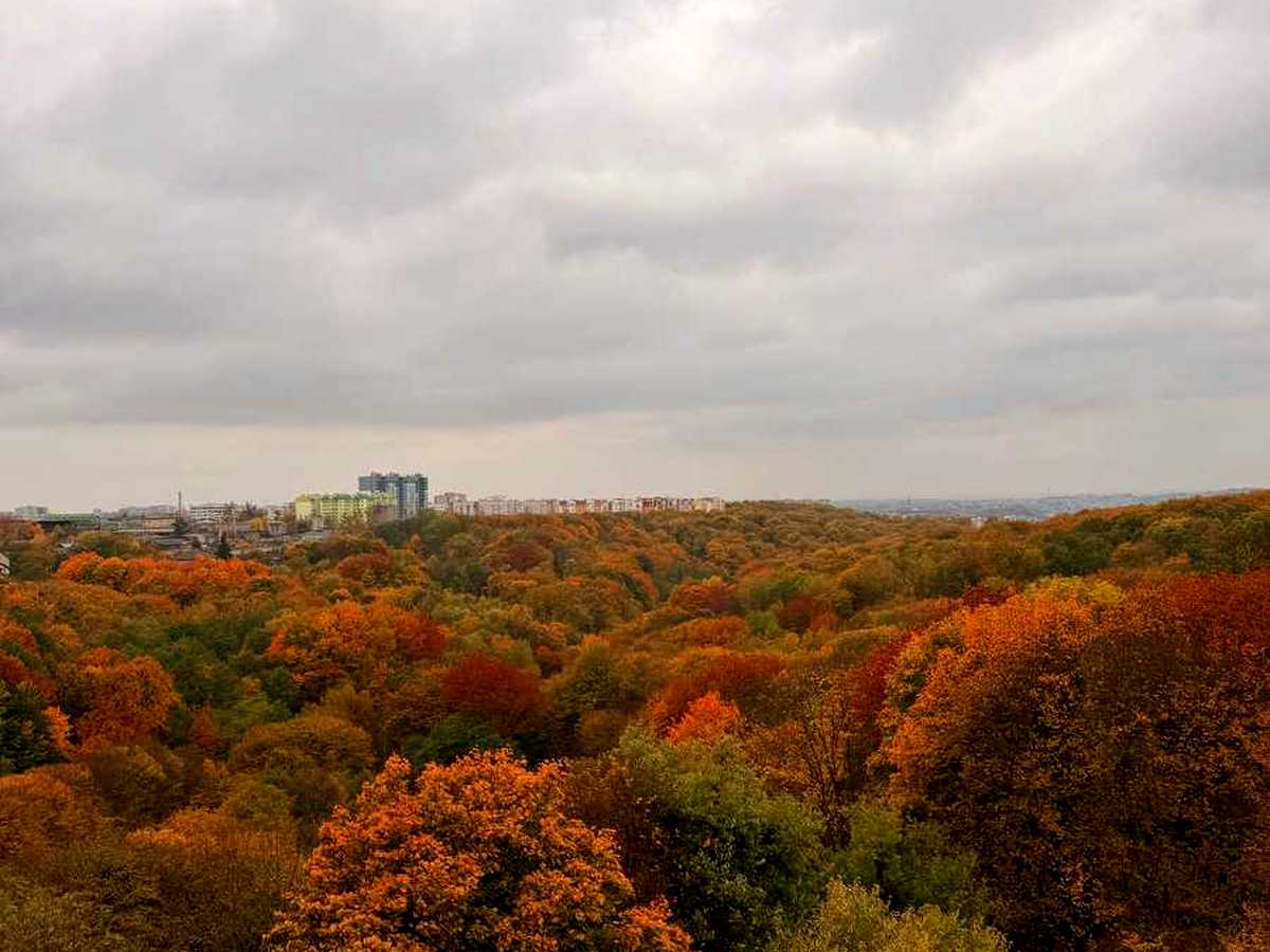 Квартира на вул. Пасічна, 84А в Львові, ID 477406, фото №2