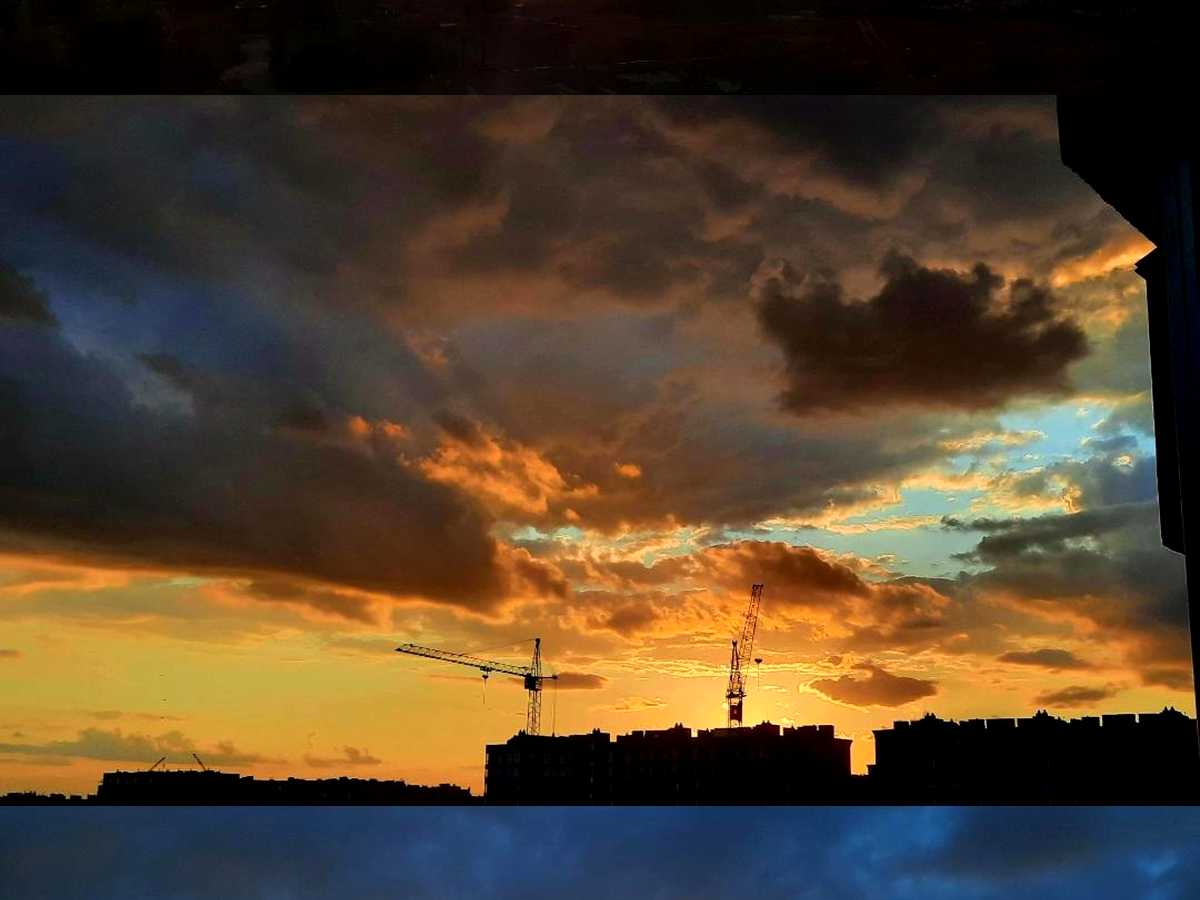 Квартира на вул. Зелена, 16 в Києві, ID 477851, фото №19