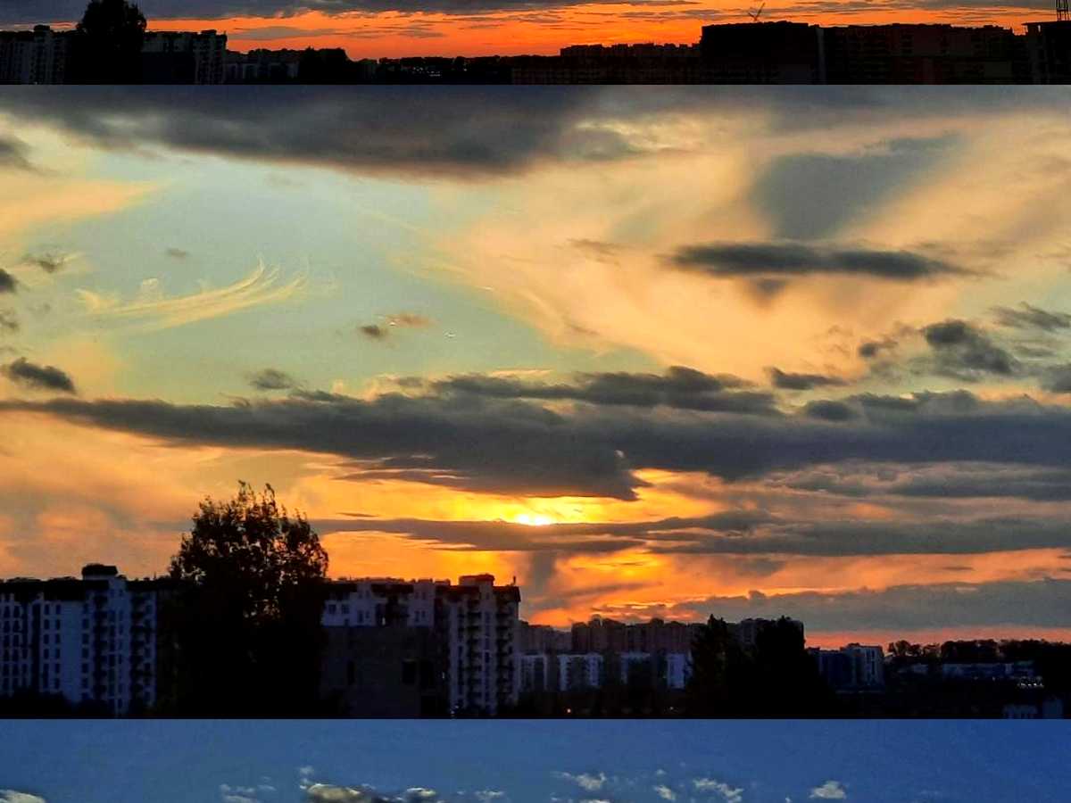 Квартира на вул. Зелена, 16 в Києві, ID 477851, фото №21