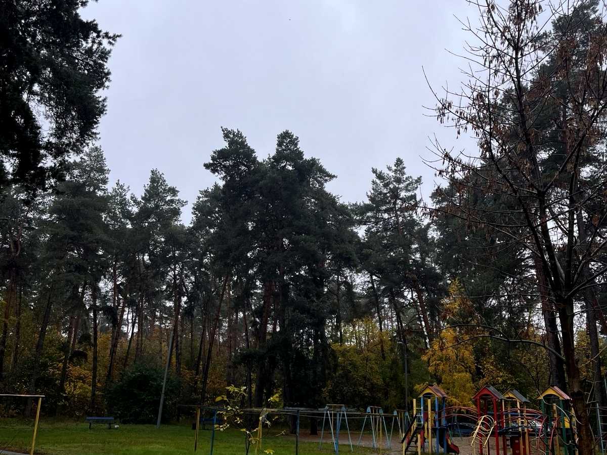 Квартира на вул. Бориспільська, 49 в Києві, ID 478302, фото №15