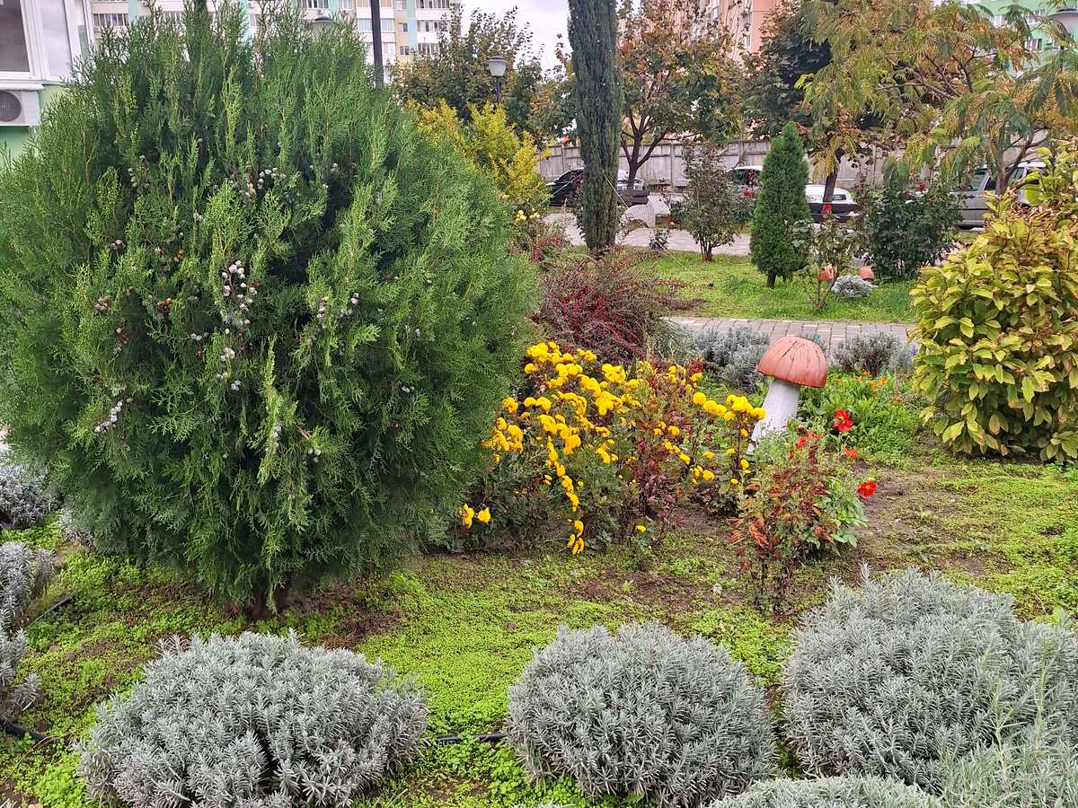 Квартира на вул. Марсельська, 46/1 в Одесі, ID 478678, фото №20