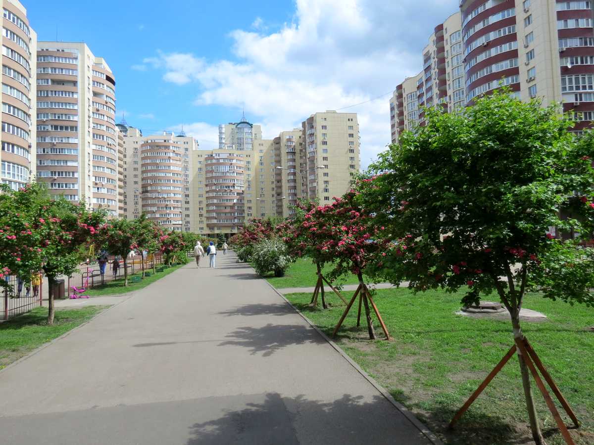 Квартира на бульв. Миколи Руденка, 14Б в Києві, ID 481693, фото №11