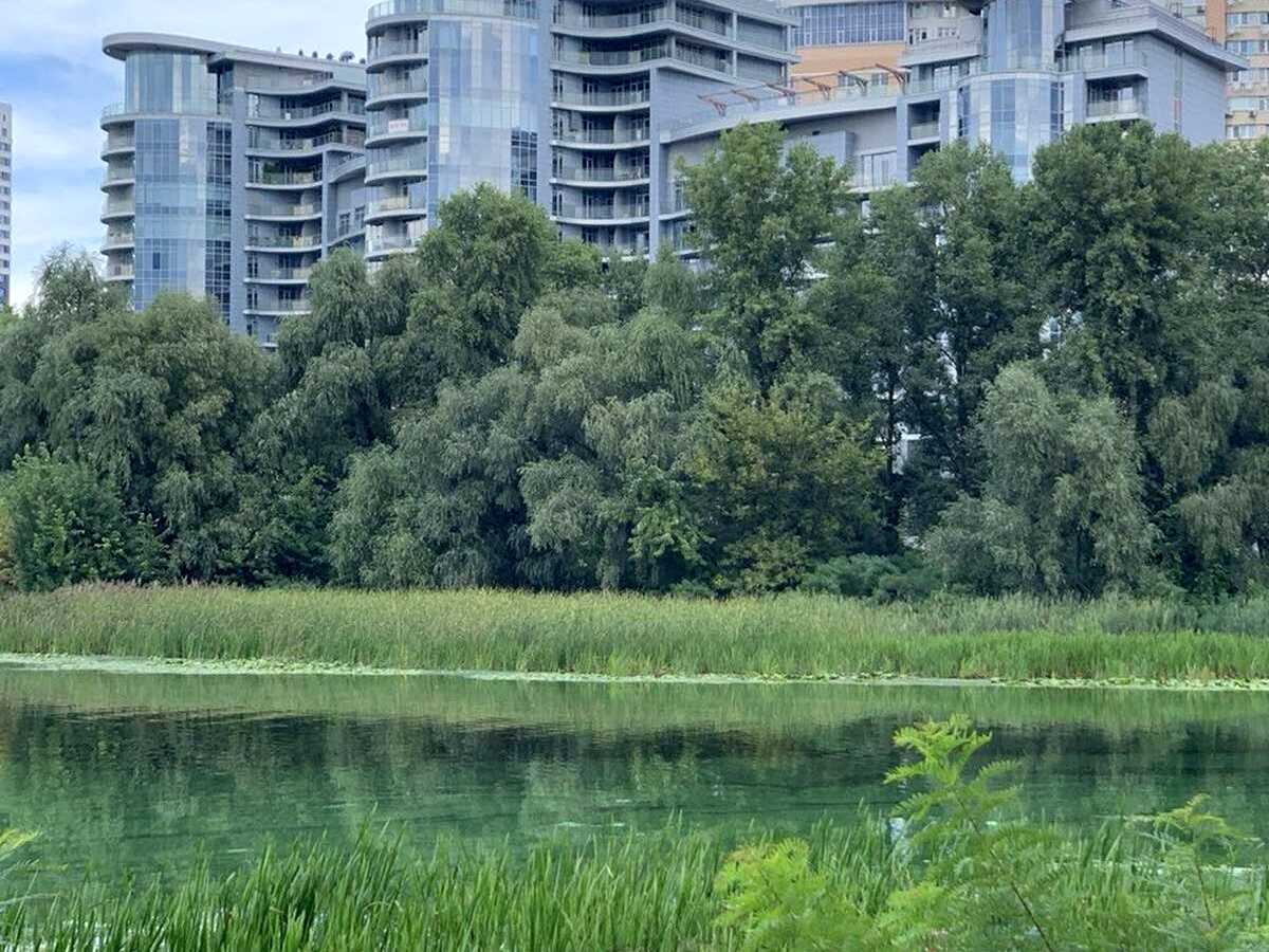 Квартира на вул. Раїси Окіпної, 18 в Києві, ID 489855, фото №9