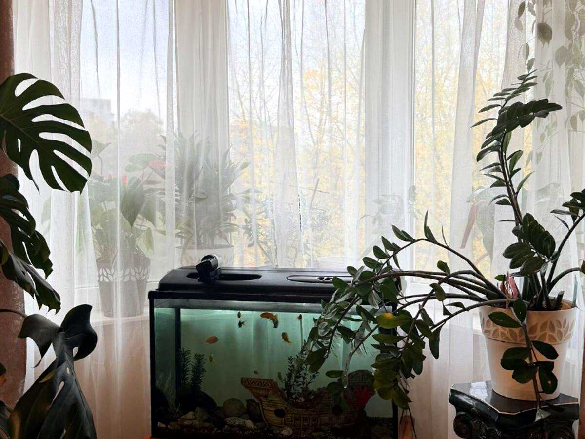 Квартира на Старокостянтинівське шосе, 26/2 в Хмельницькому, ID 490026, фото №11