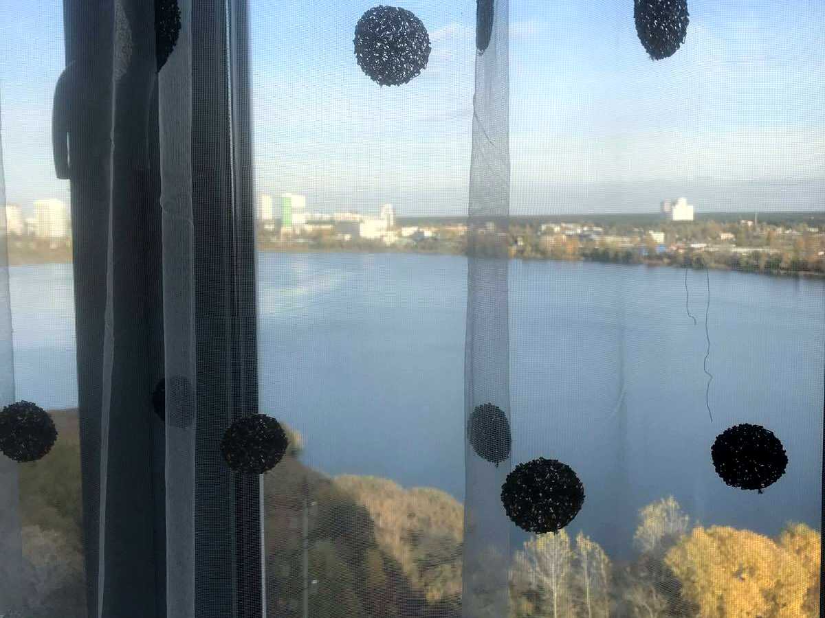 Квартира на вул. Ревуцького, 54 в Києві, ID 490844, фото №2